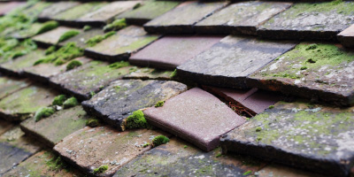 Herrings Green roof repair costs
